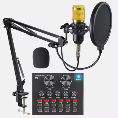 BM800 Professional Condenser Microphone